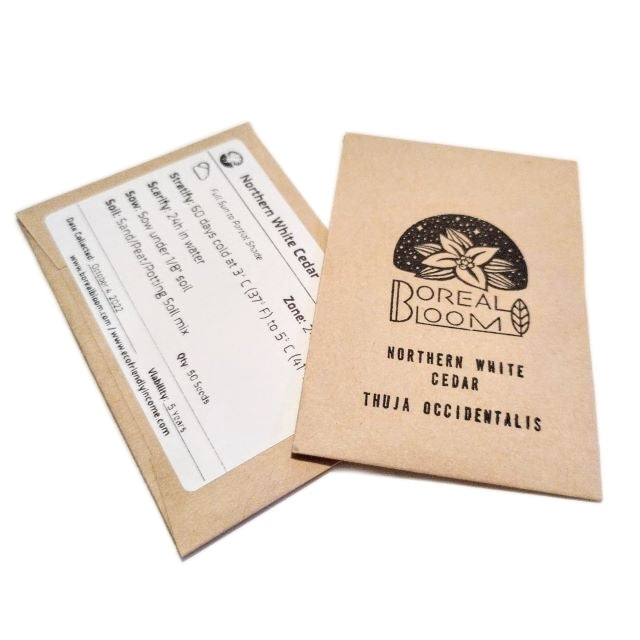 Northern White Cedar - 50 Seed Pack