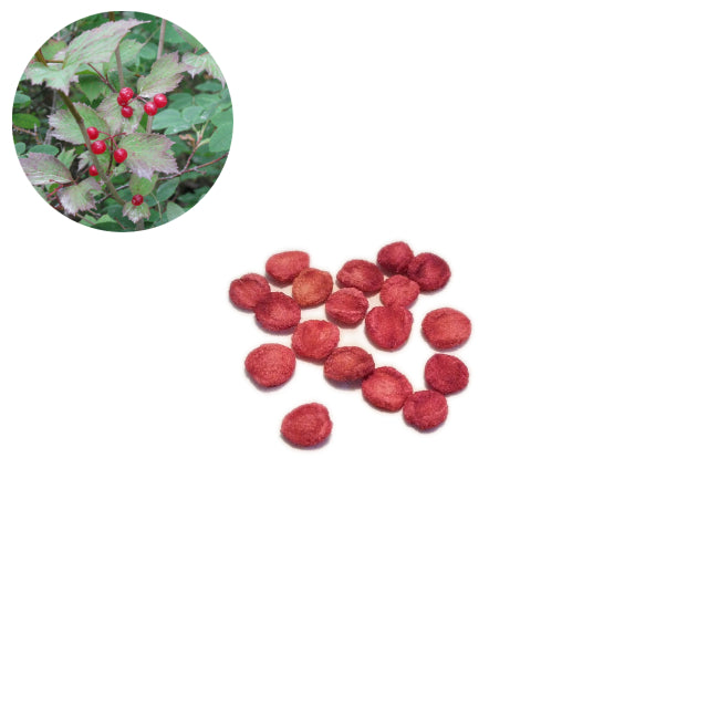 Viburnum edule (High-bush Cranberry) by Arthur Chapman / CC BY 2.0