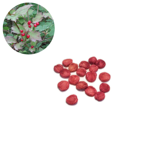 Viburnum edule (High-bush Cranberry) by Arthur Chapman / CC BY 2.0 